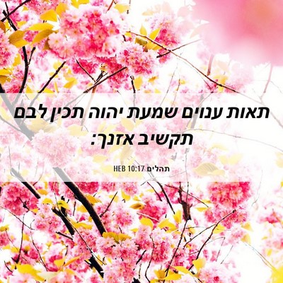 Picture 06 - תהלים 10:17 HEB - תאות ענוים שמעת יהוה תכין - Bible Verse Picture