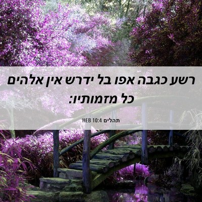 Picture 06 - תהלים 10:4 HEB - רשע כגבה אפו בל ידרש אין - Bible Verse Picture