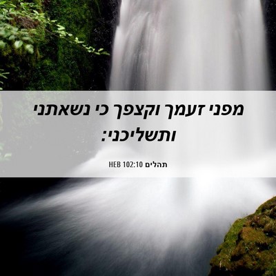 Picture 06 - תהלים 102:10 HEB - מפני זעמך וקצפך כי נשאתני - Bible Verse Picture