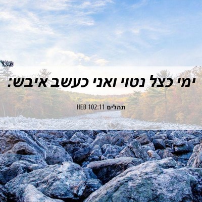 Picture 06 - תהלים 102:11 HEB - ימי כצל נטוי ואני כעשב - Bible Verse Picture