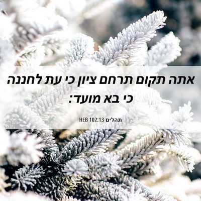 Picture 06 - תהלים 102:13 HEB - אתה תקום תרחם ציון כי עת - Bible Verse Picture
