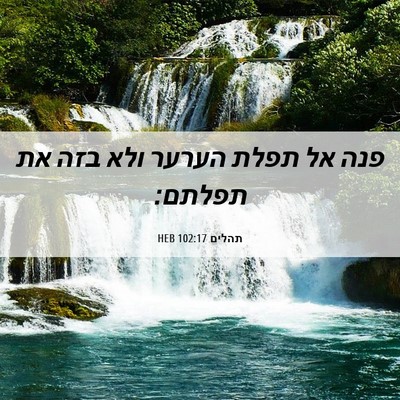 Picture 06 - תהלים 102:17 HEB - פנה אל תפלת הערער ולא בזה - Bible Verse Picture