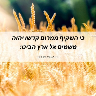 Picture 06 - תהלים 102:19 HEB - כי השקיף ממרום קדשו יהוה - Bible Verse Picture