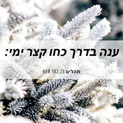 Picture 06 - תהלים 102:23 HEB - ענה בדרך כחו קצר - Bible Verse Picture