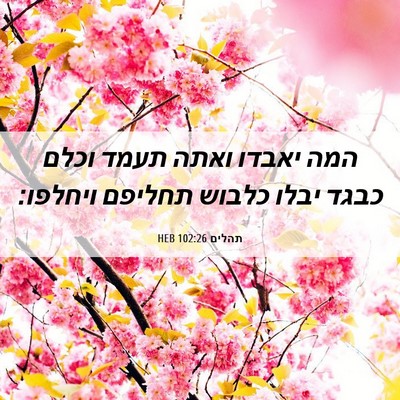 Picture 06 - תהלים 102:26 HEB - המה יאבדו ואתה תעמד וכלם - Bible Verse Picture