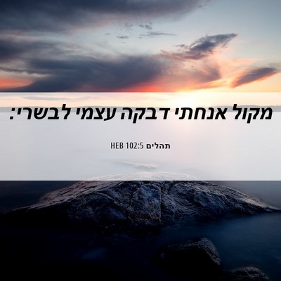 Picture 06 - תהלים 102:5 HEB - מקול אנחתי דבקה עצמי - Bible Verse Picture