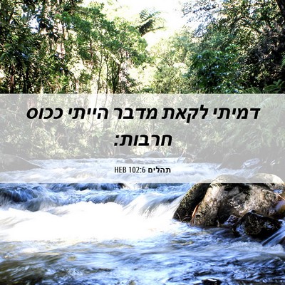 Picture 06 - תהלים 102:6 HEB - דמיתי לקאת מדבר הייתי ככוס - Bible Verse Picture
