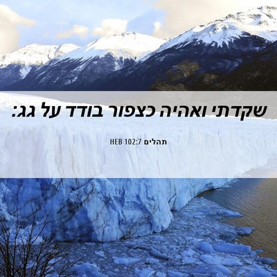 Picture 06 - תהלים 102:7 HEB - שקדתי ואהיה כצפור בודד על - Bible Verse Picture