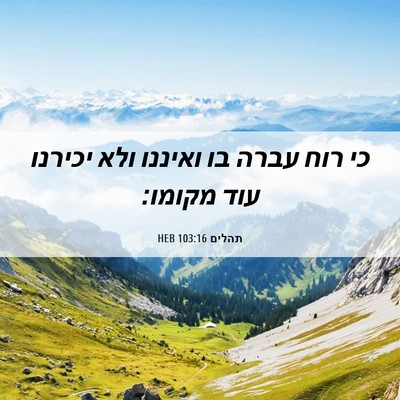 Picture 06 - תהלים 103:16 HEB - כי רוח עברה בו ואיננו ולא - Bible Verse Picture