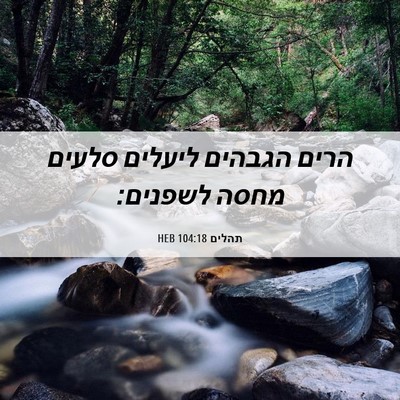 Picture 06 - תהלים 104:18 HEB - הרים הגבהים ליעלים סלעים - Bible Verse Picture