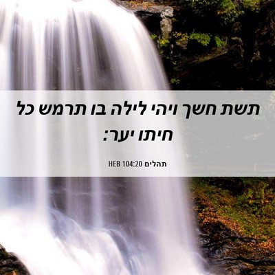 Picture 06 - תהלים 104:20 HEB - תשת חשך ויהי לילה בו תרמש - Bible Verse Picture