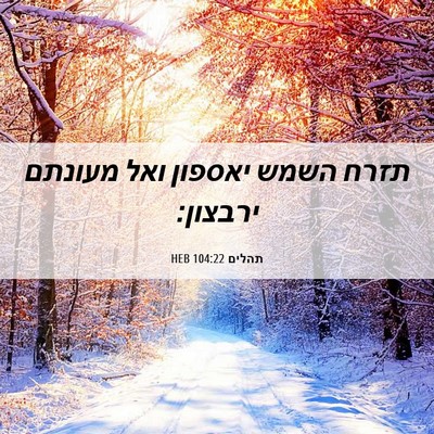 Picture 06 - תהלים 104:22 HEB - תזרח השמש יאספון ואל - Bible Verse Picture