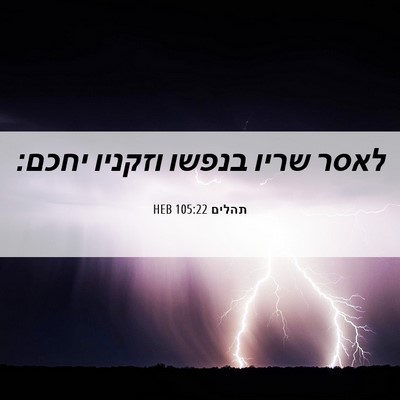 Picture 06 - תהלים 105:22 HEB - לאסר שריו בנפשו וזקניו - Bible Verse Picture