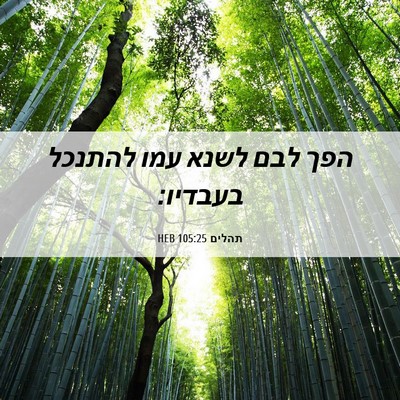 Picture 06 - תהלים 105:25 HEB - הפך לבם לשנא עמו להתנכל - Bible Verse Picture