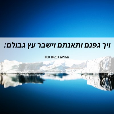 Picture 06 - תהלים 105:33 HEB - ויך גפנם ותאנתם וישבר עץ - Bible Verse Picture
