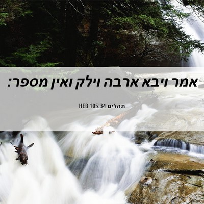 Picture 06 - תהלים 105:34 HEB - אמר ויבא ארבה וילק ואין - Bible Verse Picture