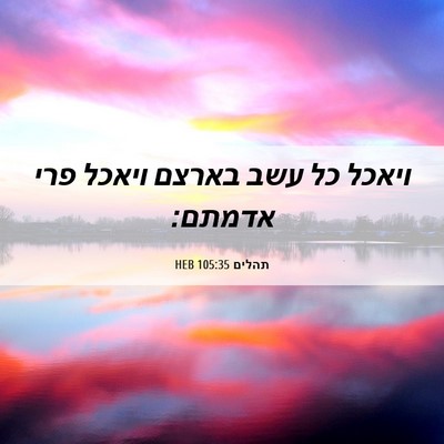 Picture 06 - תהלים 105:35 HEB - ויאכל כל עשב בארצם ויאכל - Bible Verse Picture