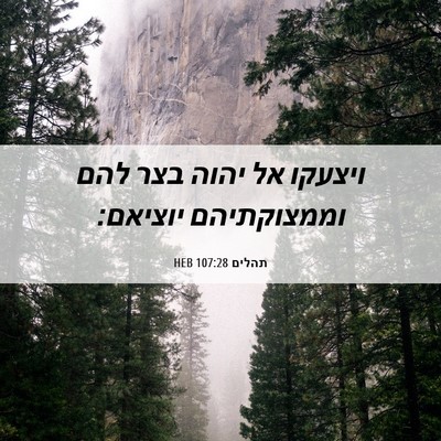 Picture 06 - תהלים 107:28 HEB - ויצעקו אל יהוה בצר להם - Bible Verse Picture