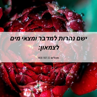 Picture 06 - תהלים 107:33 HEB - ישם נהרות למדבר ומצאי מים - Bible Verse Picture
