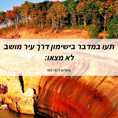 Picture 06 - תהלים 107:4 HEB - תעו במדבר בישימון דרך עיר - Bible Verse Picture