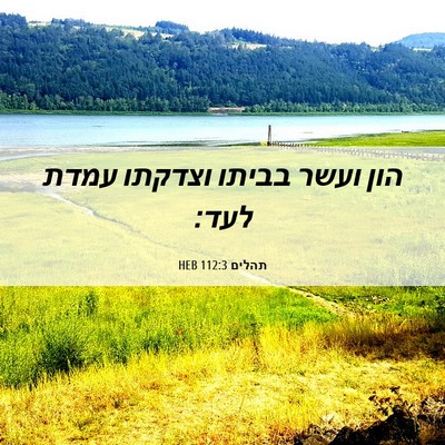 Picture 06 - תהלים 112:3 HEB - הון ועשר בביתו וצדקתו עמדת - Bible Verse Picture