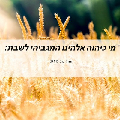 Picture 06 - תהלים 113:5 HEB - מי כיהוה אלהינו המגביהי - Bible Verse Picture