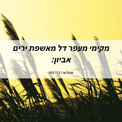 Picture 06 - תהלים 113:7 HEB - מקימי מעפר דל מאשפת ירים - Bible Verse Picture