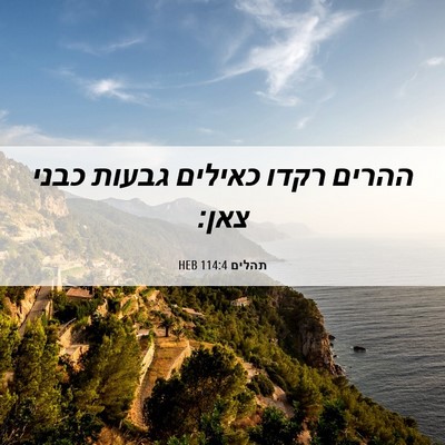 Picture 06 - תהלים 114:4 HEB - ההרים רקדו כאילים גבעות - Bible Verse Picture