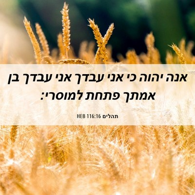 Picture 06 - תהלים 116:16 HEB - אנה יהוה כי אני עבדך אני - Bible Verse Picture