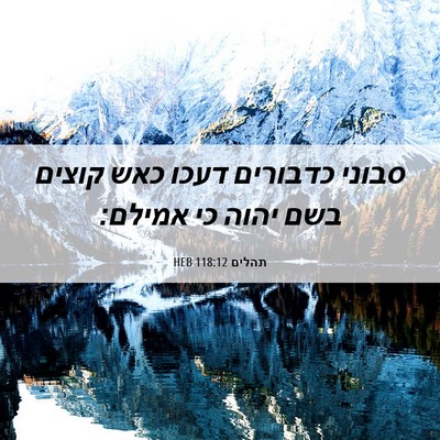 Picture 06 - תהלים 118:12 HEB - סבוני כדבורים דעכו כאש - Bible Verse Picture