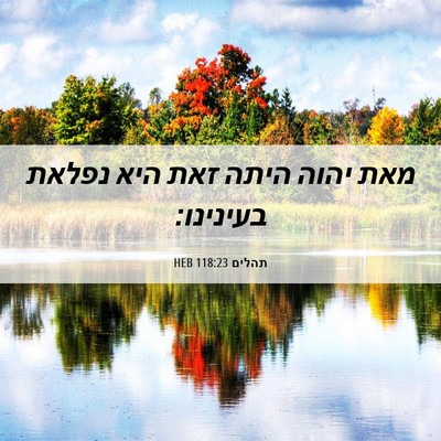 Picture 06 - תהלים 118:23 HEB - מאת יהוה היתה זאת היא נפלאת - Bible Verse Picture