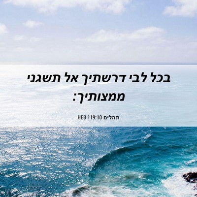 Picture 06 - תהלים 119:10 HEB - בכל לבי דרשתיך אל תשגני - Bible Verse Picture