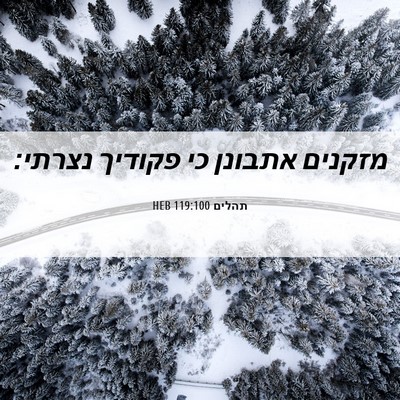 Picture 06 - תהלים 119:100 HEB - מזקנים אתבונן כי פקודיך - Bible Verse Picture