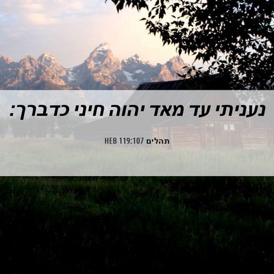 Picture 06 - תהלים 119:107 HEB - נעניתי עד מאד יהוה חיני - Bible Verse Picture