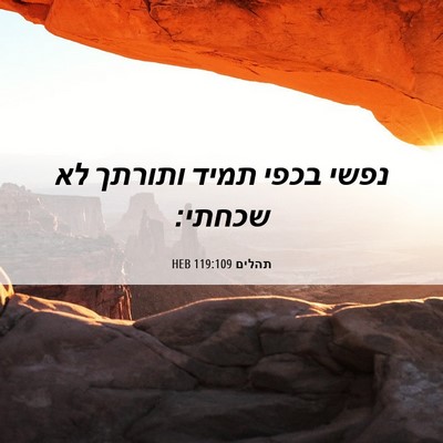 Picture 06 - תהלים 119:109 HEB - נפשי בכפי תמיד ותורתך לא - Bible Verse Picture