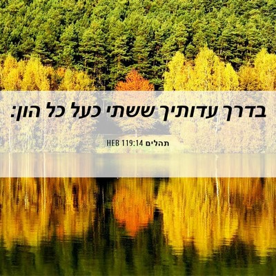 Picture 06 - תהלים 119:14 HEB - בדרך עדותיך ששתי כעל כל - Bible Verse Picture