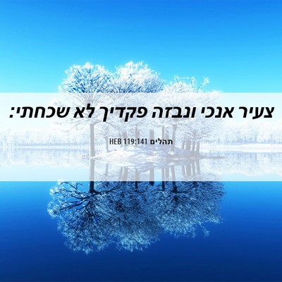 Picture 06 - תהלים 119:141 HEB - צעיר אנכי ונבזה פקדיך לא - Bible Verse Picture