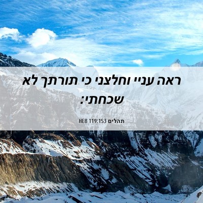 Picture 06 - תהלים 119:153 HEB - ראה עניי וחלצני כי תורתך לא - Bible Verse Picture