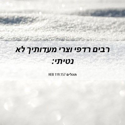 Picture 06 - תהלים 119:157 HEB - רבים רדפי וצרי מעדותיך לא - Bible Verse Picture