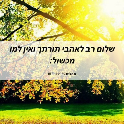 Picture 06 - תהלים 119:165 HEB - שלום רב לאהבי תורתך ואין - Bible Verse Picture