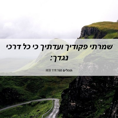 Picture 06 - תהלים 119:168 HEB - שמרתי פקודיך ועדתיך כי כל - Bible Verse Picture