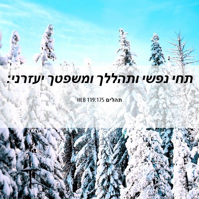 Picture 06 - תהלים 119:175 HEB - תחי נפשי ותהללך ומשפטך - Bible Verse Picture