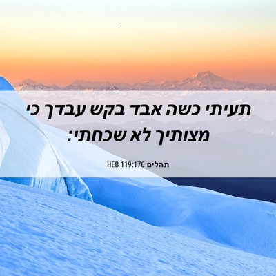 Picture 06 - תהלים 119:176 HEB - תעיתי כשה אבד בקש עבדך כי - Bible Verse Picture