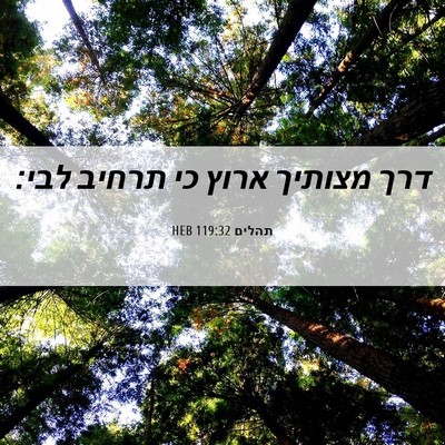 Picture 06 - תהלים 119:32 HEB - דרך מצותיך ארוץ כי תרחיב - Bible Verse Picture