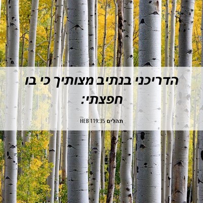 Picture 06 - תהלים 119:35 HEB - הדריכני בנתיב מצותיך כי בו - Bible Verse Picture