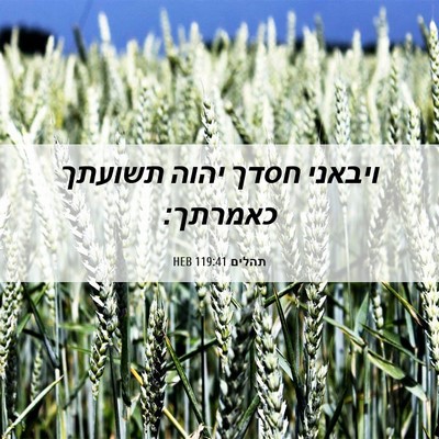 Picture 06 - תהלים 119:41 HEB - ויבאני חסדך יהוה תשועתך - Bible Verse Picture
