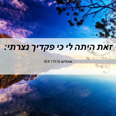 Picture 06 - תהלים 119:56 HEB - זאת היתה לי כי פקדיך - Bible Verse Picture