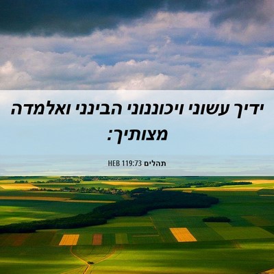 Picture 06 - תהלים 119:73 HEB - ידיך עשוני ויכוננוני - Bible Verse Picture