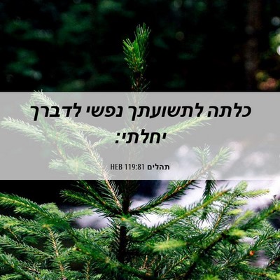 Picture 06 - תהלים 119:81 HEB - כלתה לתשועתך נפשי לדברך - Bible Verse Picture