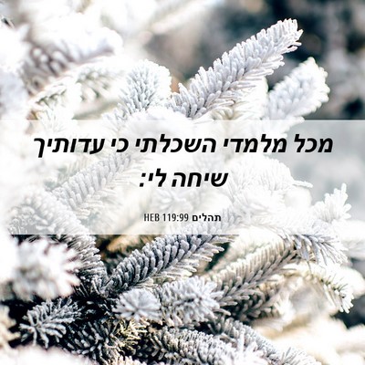 Picture 06 - תהלים 119:99 HEB - מכל מלמדי השכלתי כי עדותיך - Bible Verse Picture